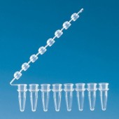 TUBURI PCR CAPAC IN BANDA TRANSPARENTE BRAND