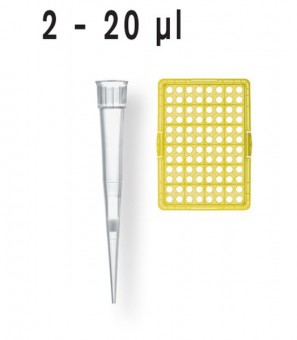 FILTRE NESTERILE PT PIPETE TIP BOX BRAND 2 - 20 µL / 480 BUC